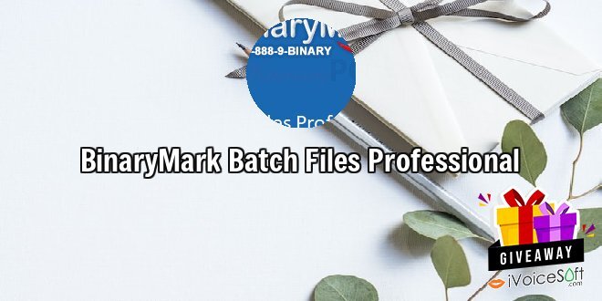 Giveaway: BinaryMark Batch Files Professional – Free Download