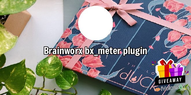 Giveaway: Brainworx bx_meter plugin – Free Download