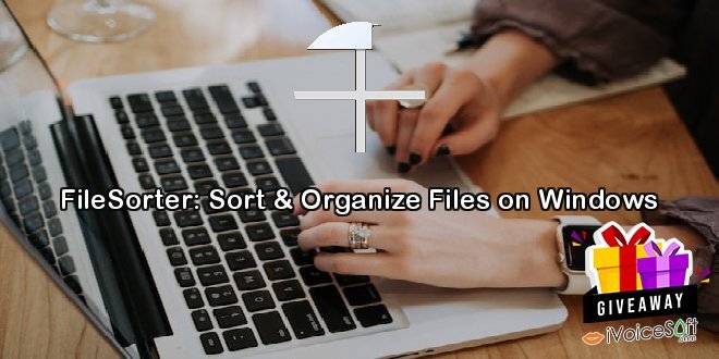 FileSorter: Sort & Organize Files on Windows