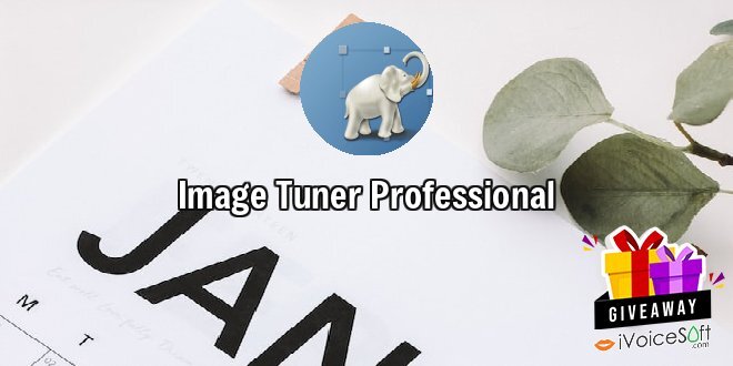 Giveaway: Image Tuner Professional – Free Download