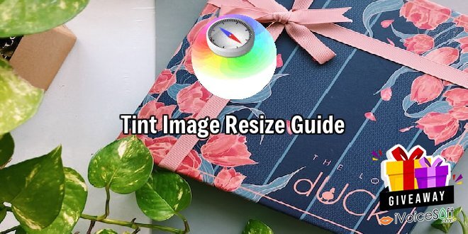 Giveaway: Tint Image Resize Guide – Free Download